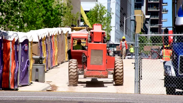 Best Lawn Dethatching  in Whetstone, AZ